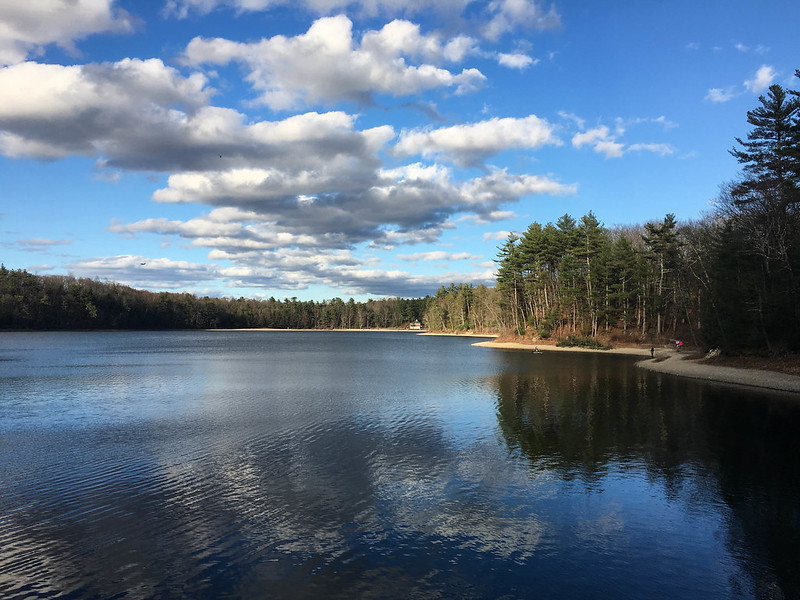 View of Thoreau's Walden Pond, 2018, photo by Ashok Boghani (CC BY-NC 2.0)
